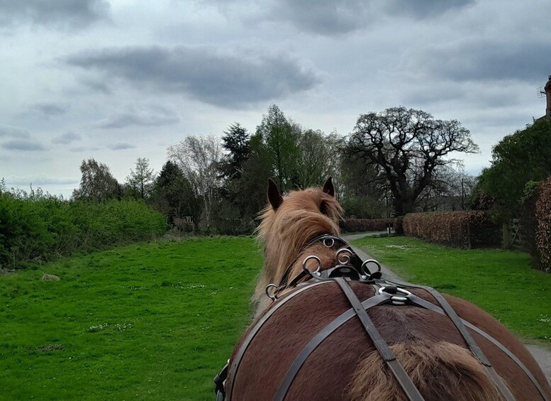 Picture 1 for Activity York: Horse Drawn Carriage ride & Cream Tea