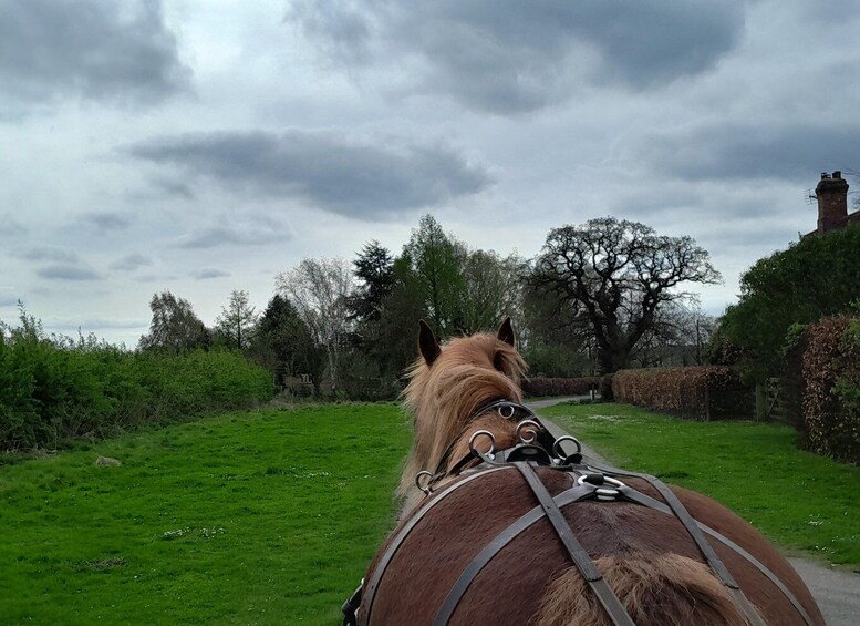 Picture 1 for Activity York: Horse Drawn Carriage ride & Cream Tea