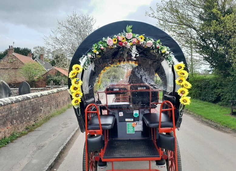 Picture 2 for Activity York: Horse Drawn Carriage ride & Cream Tea