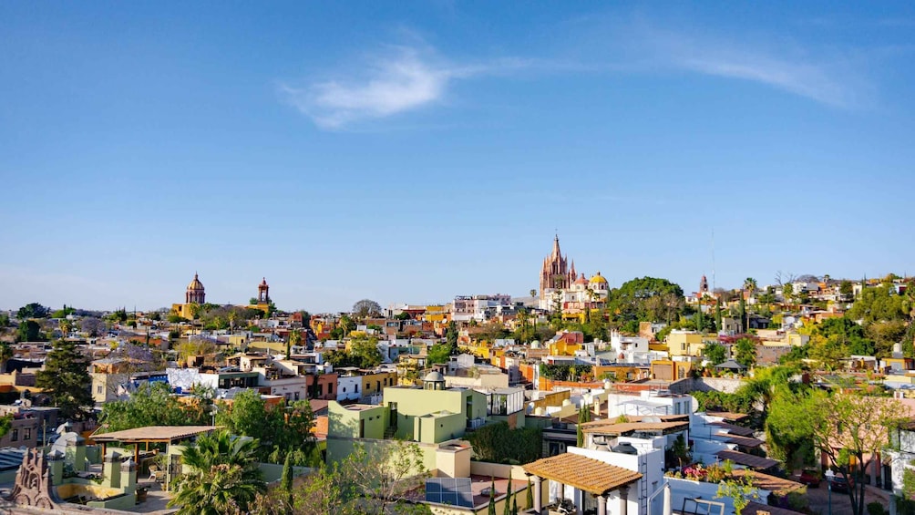 San Miguel de Allende: Walking Tour of Houses and Gardens