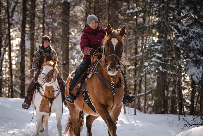 Picture 4 for Activity La Vallée: A charming introduction to horseback riding