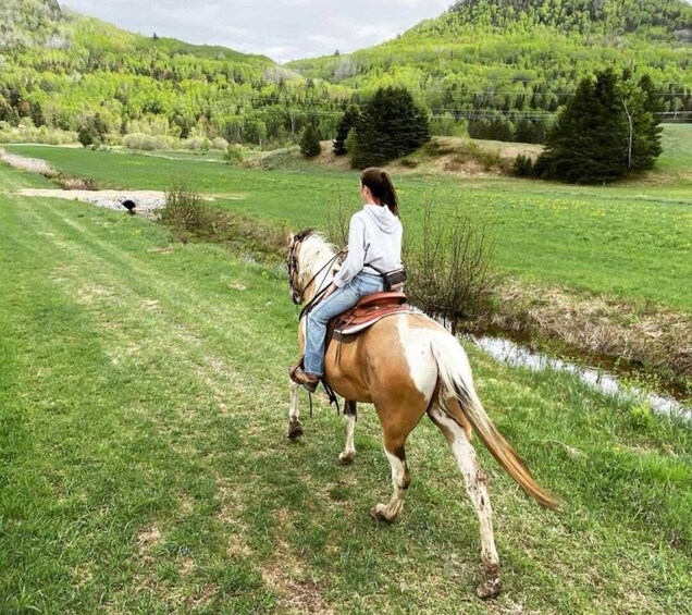 Picture 5 for Activity La Vallée: A charming introduction to horseback riding