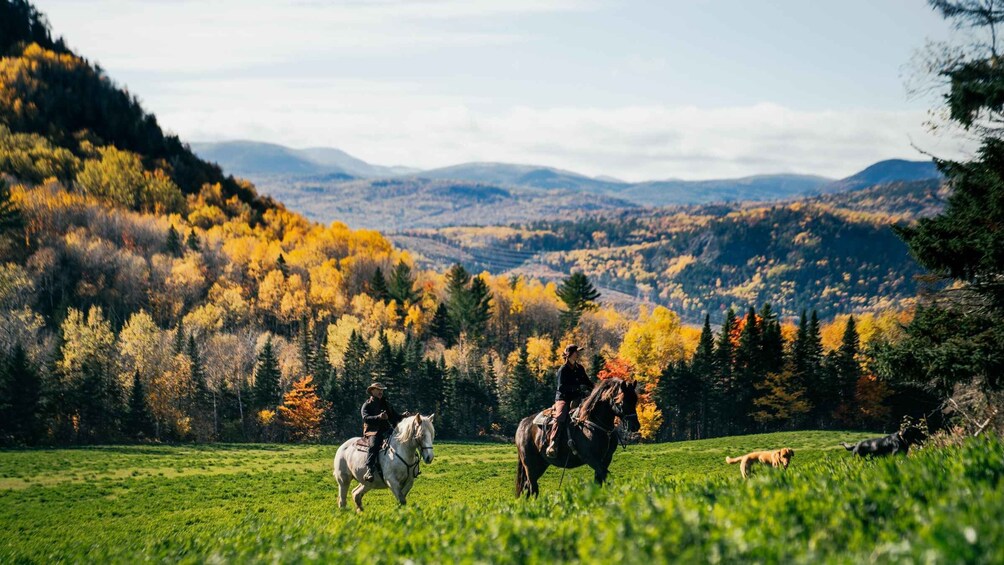 Picture 3 for Activity La Vallée: A charming introduction to horseback riding