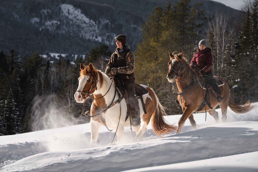 Picture 5 for Activity La Vallée: A charming introduction to horseback riding