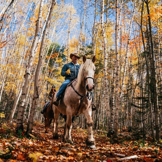 Picture 1 for Activity La Vallée: A charming introduction to horseback riding