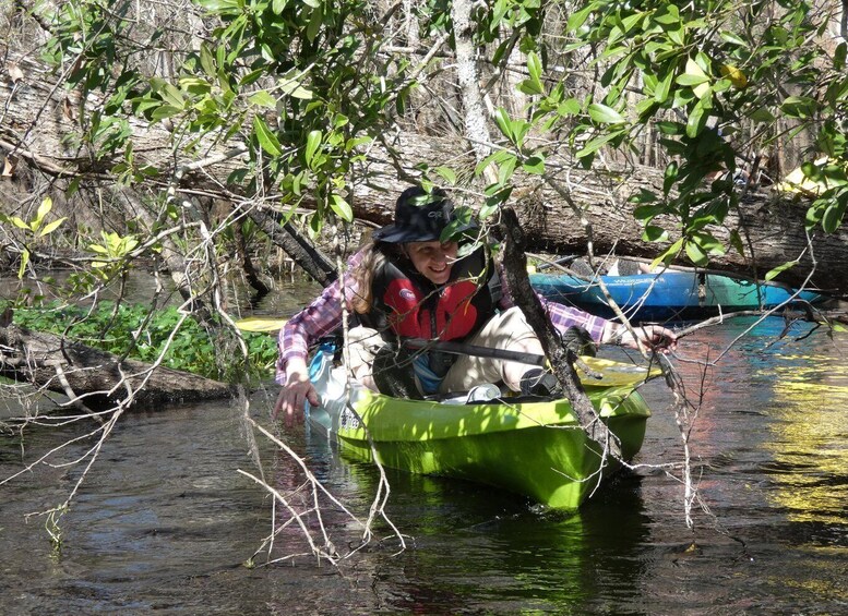 Picture 3 for Activity Blackwater Creek: Exclusive Nature Escape Kayak Adventure