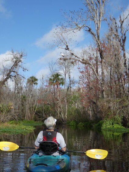 Picture 12 for Activity Blackwater Creek: Exclusive Nature Escape Kayak Adventure