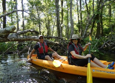 Blackwater Creek: Eksklusivt kajakk-eventyr i naturen