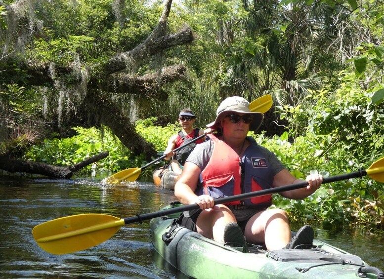 Orlando Kayak Tour: Blackwater Creek Scenic River with Lunch