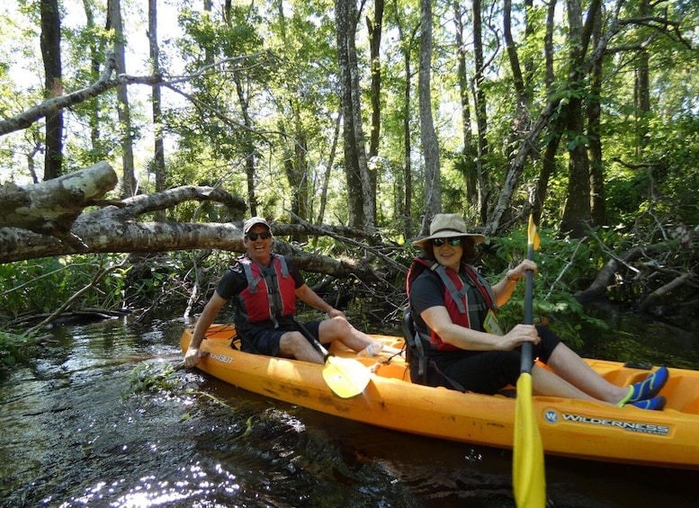Blackwater Creek: Exclusive Nature Escape Kayak Adventure