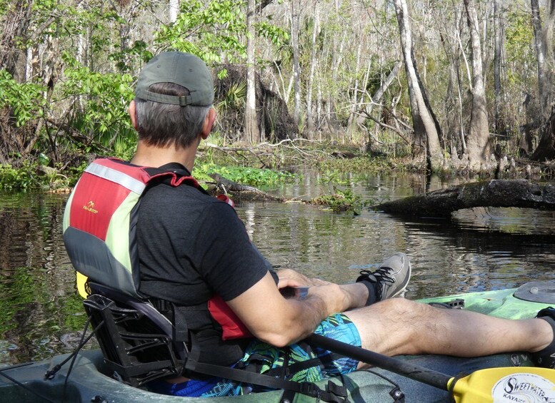 Picture 5 for Activity Blackwater Creek: Exclusive Nature Escape Kayak Adventure