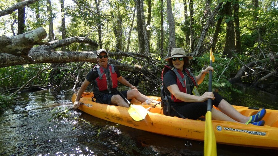 Blackwater Creek: Exclusive Nature Escape Kayak Adventure