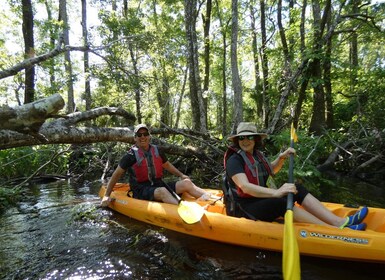 Blackwater Creek: Exklusives Naturflucht-Kajak-Abenteuer