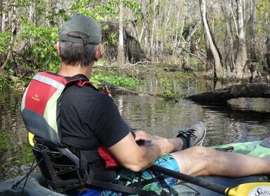 Blackwater Creek: Exklusives Naturflucht-Kajak-Abenteuer