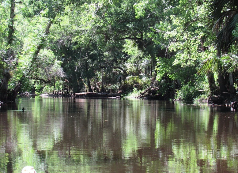 Picture 16 for Activity Orlando Kayak Tour: Blackwater Creek Scenic River with Lunch