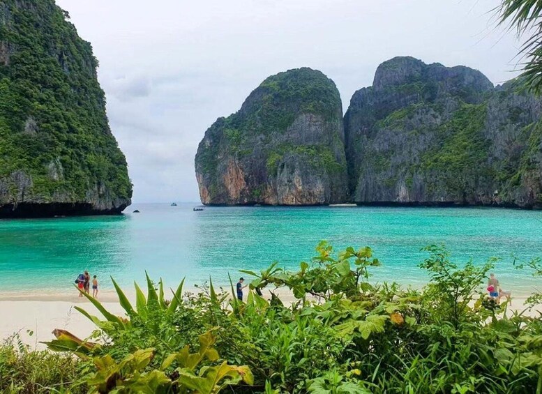 Picture 6 for Activity Phuket: Phi Phi, Maya & Bamboo Island by Speed Boat Charter