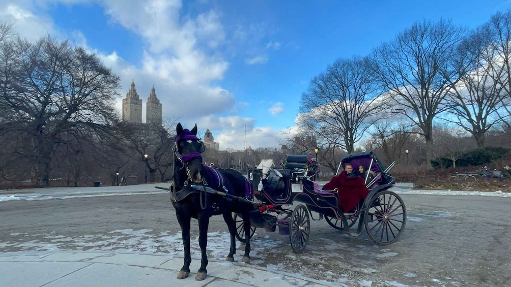 Picture 1 for Activity Official Exclusive VIP Horse Carriage Ride in Central Park