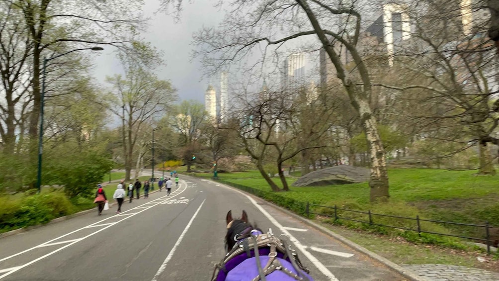 Picture 2 for Activity Official Exclusive VIP Horse Carriage Ride in Central Park