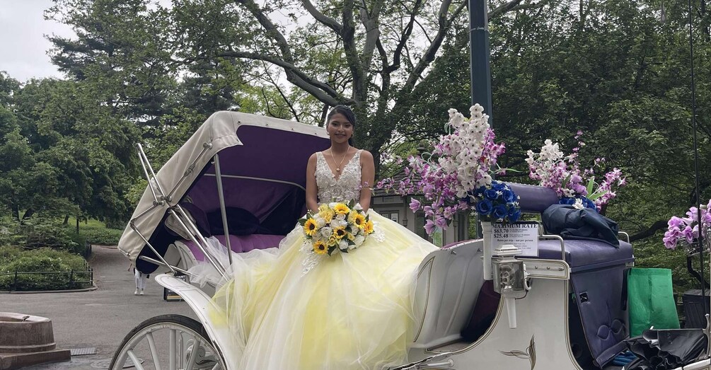 Official Exclusive VIP Horse Carriage Ride in Central Park