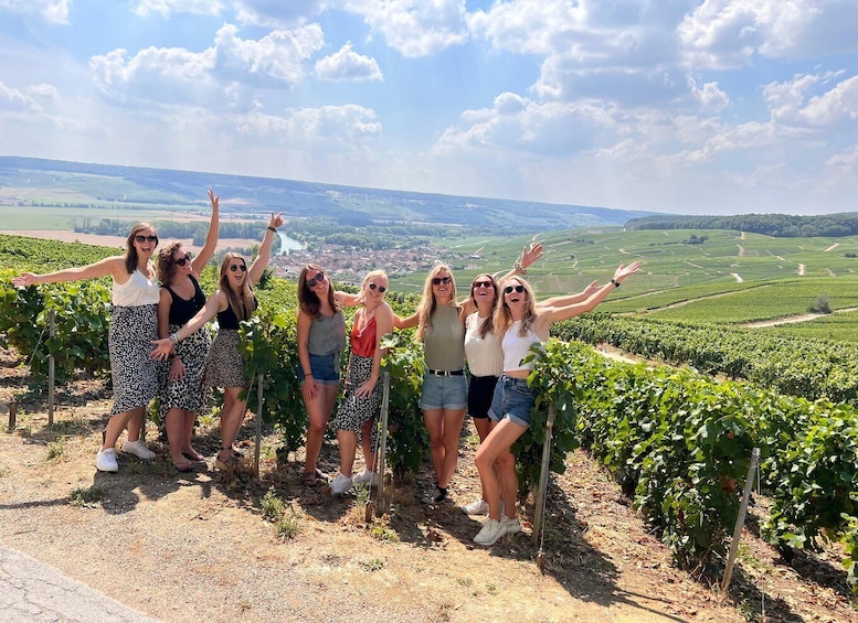 Picture 2 for Activity From Reims/Epernay: Champagne half-day tour (small group)