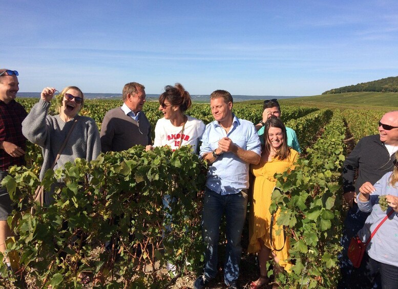 From Reims/Epernay: Champagne half-day tour (small group)