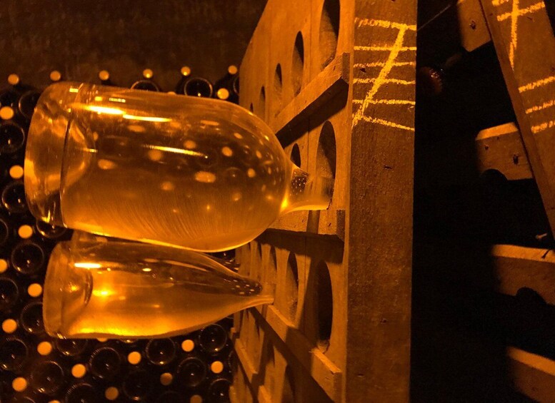 Picture 1 for Activity From Reims/Epernay: Champagne half-day tour (small group)
