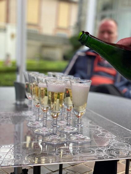 Picture 6 for Activity From Reims/Epernay: Champagne half-day tour (small group)