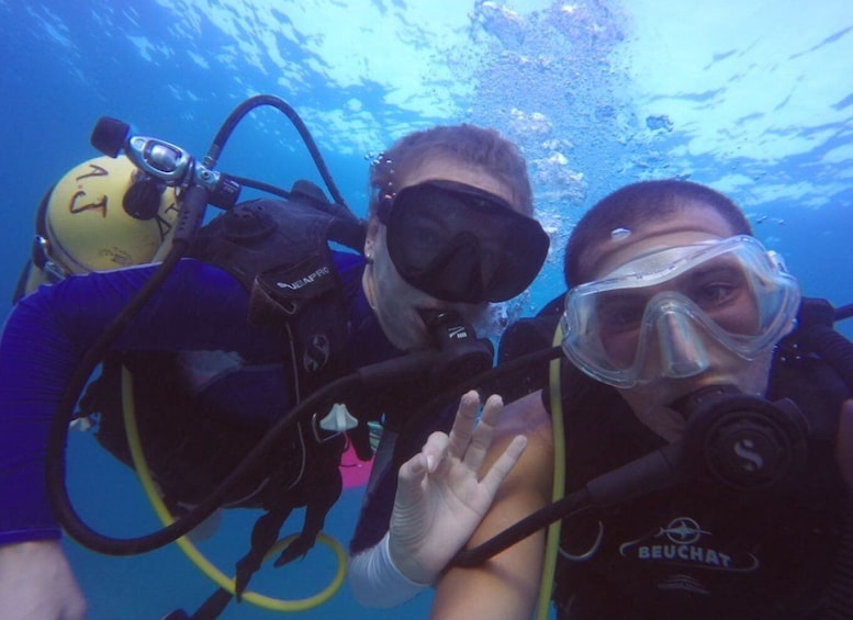 Picture 3 for Activity Dubai: Reef of Burj Al Arab Scuba Diving Experience