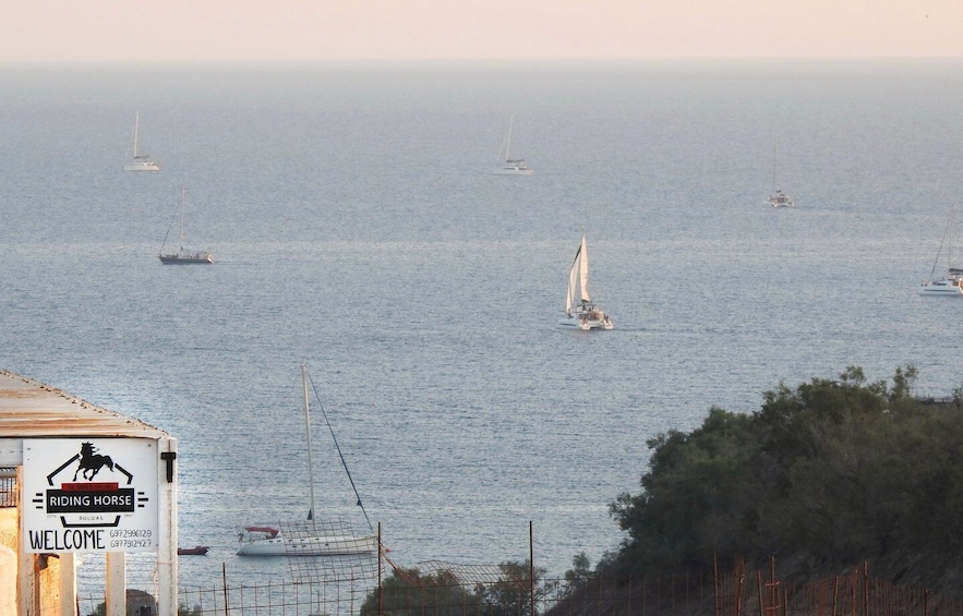 Picture 4 for Activity Akrotiri: Guided Horseback Riding Day Trip to a Beach