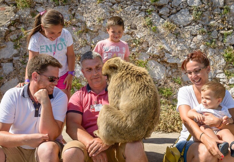 Picture 8 for Activity Gibraltar: Guided Tour, Skywalk, Moorish Castle, and More