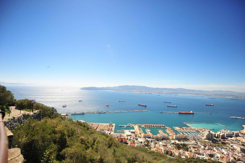 Picture 16 for Activity Gibraltar: Guided Tour, Skywalk, Moorish Castle, and More