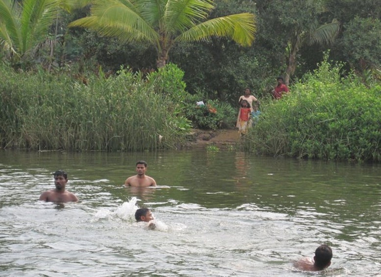 Picture 1 for Activity Kerala Houseboat Tour To Alapuzha