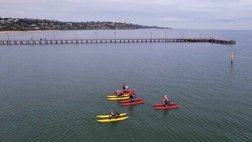 Frankston: Port Phillip Bay Water Bike Tour