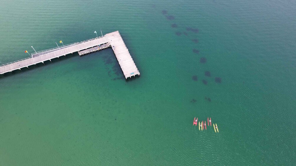 Picture 2 for Activity Frankston: Port Phillip Bay Water Bike Tour