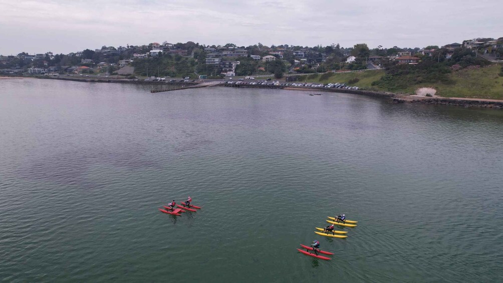 Picture 4 for Activity Frankston: Port Phillip Bay Water Bike Tour