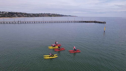 Frankston: Port Phillip Bay Water Bike Tour