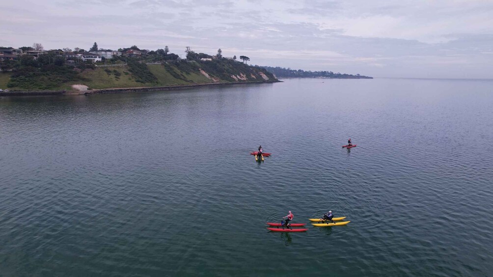 Picture 7 for Activity Frankston: Port Phillip Bay Water Bike Tour