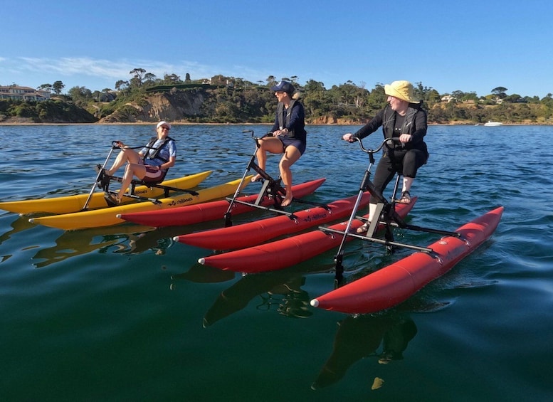 Picture 1 for Activity Frankston: Port Phillip Bay Water Bike Tour