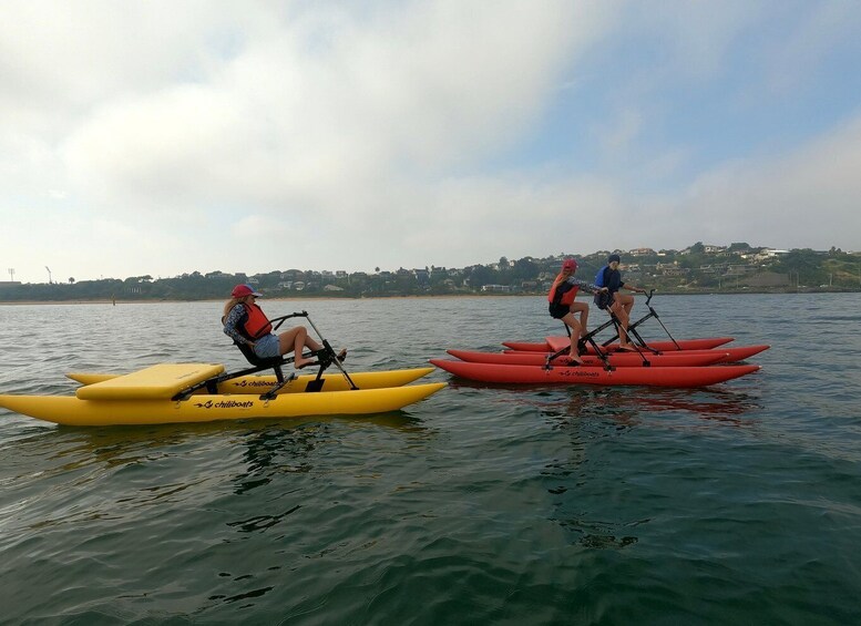 Picture 3 for Activity Frankston: Port Phillip Bay Water Bike Tour