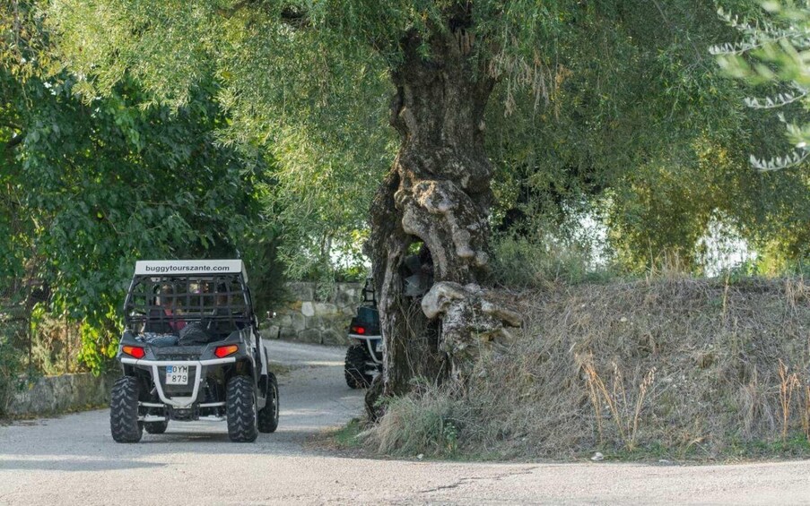 Picture 19 for Activity Laganas: Off-Road Buggy Adventure in Zakynthos with Lunch