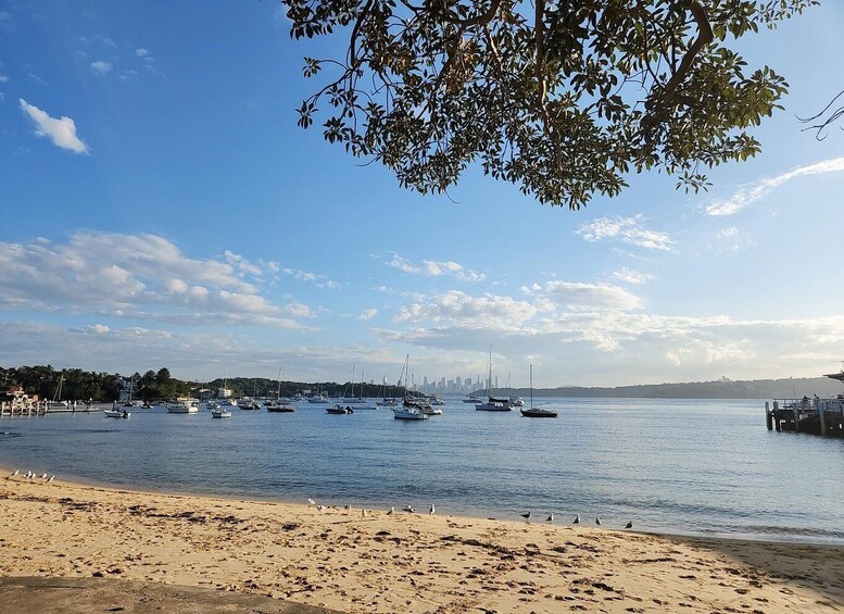 Picture 4 for Activity Sydney East Coast Tour