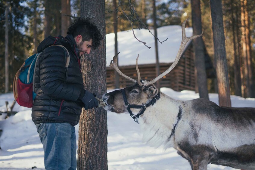 Picture 7 for Activity Reindeer Farm Visit with Professional Photographer