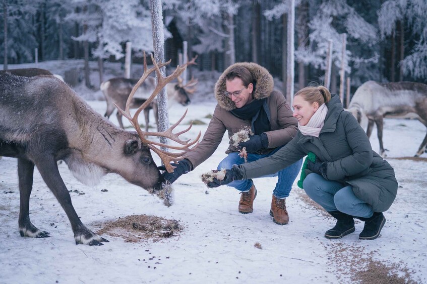 Picture 1 for Activity Reindeer Farm Visit with Professional Photographer