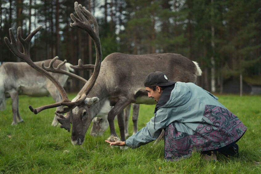 Picture 10 for Activity Reindeer Farm Visit with Professional Photographer