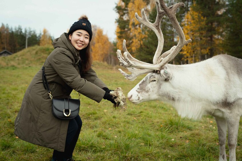 Reindeer Farm Visit with Professional Photographer