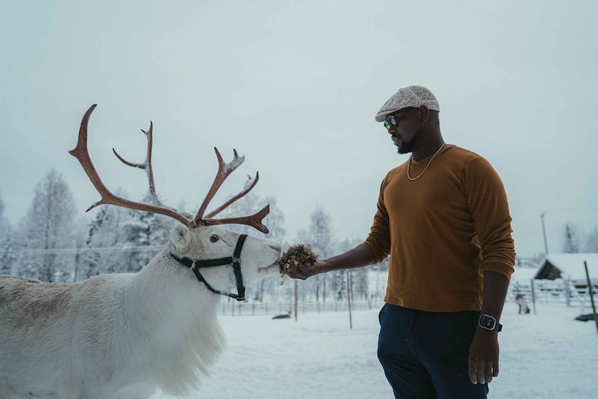 Picture 4 for Activity Reindeer Farm Visit with Photographer in Rovaniemi