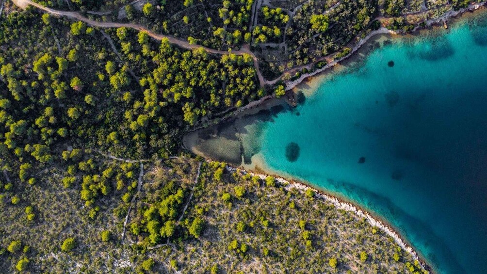 Picture 2 for Activity Zadar: Half Day Speedboat Adventure