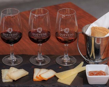 Vila Nova de Gaia: Port Wine Tasting with Cheese Pairing