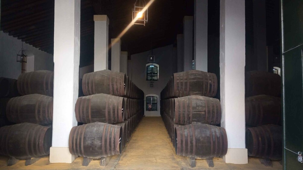 Picture 7 for Activity Jerez de la Frontera: Sherry Winery Tour with Tasting