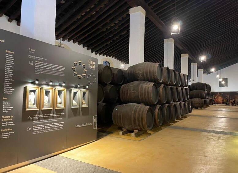 Picture 3 for Activity Jerez de la Frontera: Sherry Winery Tour with Tasting